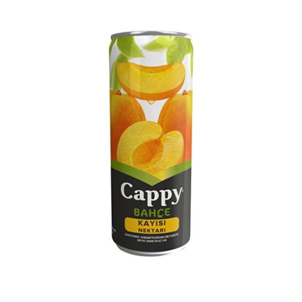 KUTU CAPPY kayisi